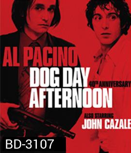 Dog Day Afternoon (1975) ปล้นกลางแดด